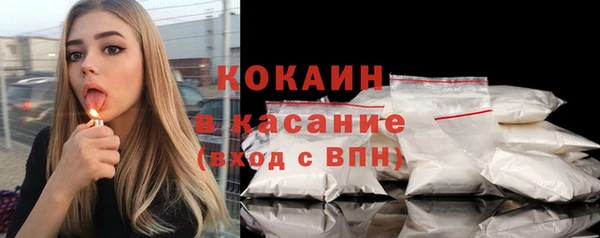 кокс Ельня