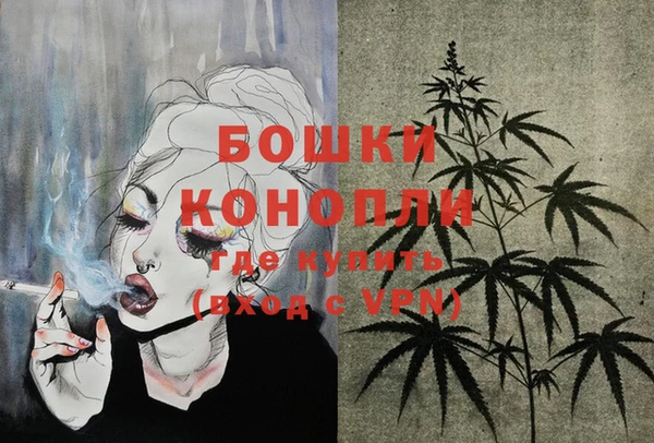 кокс Ельня
