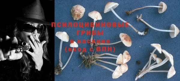 кокс Ельня