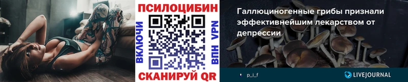 kraken сайт  купить наркотики цена  Петров Вал  Псилоцибиновые грибы GOLDEN TEACHER 